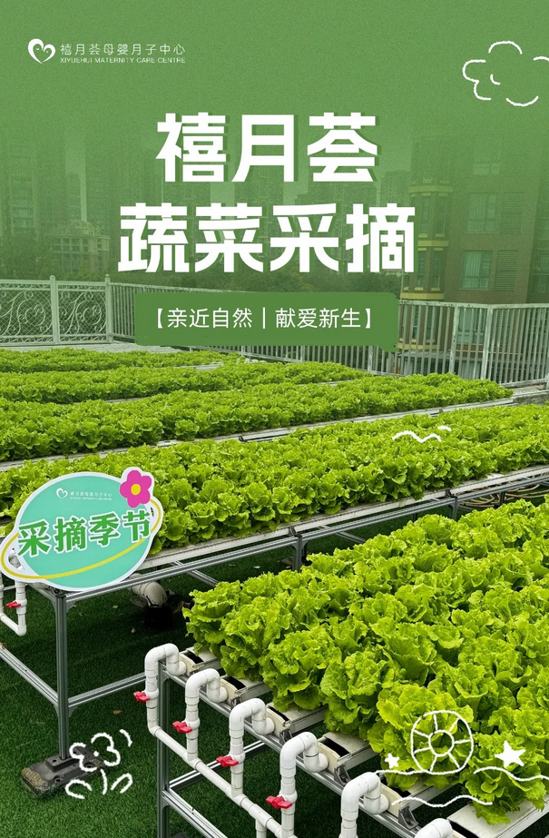成都月子中心農(nóng)場(chǎng)主|共享菜地，開(kāi)啟有機(jī)坐月子生活1